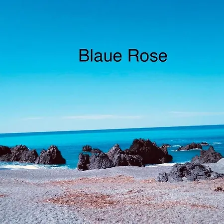 Blaue Rose Apartment
